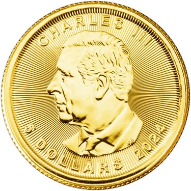 Náhled Averzní strany - Maple Leaf 1/10 Oz - Investiční zlatá mince